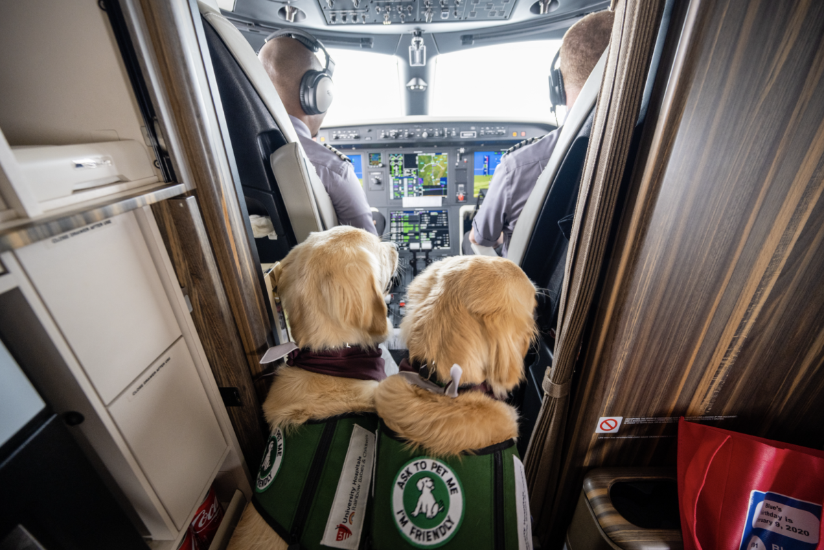 Flexjet pets